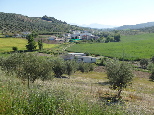 On the road to Montefr&iacute;o.